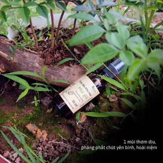 Xịt Phòng Mùi Già