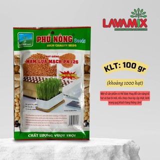 Hạt giống Cỏ Lúa Mì (Mầm Lúa Mạch) (100g~1000 hạt) thơm, ngon, giàu dinh dưỡng, dễ trồng | Green House