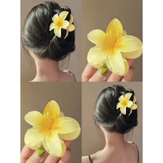 Kẹp tóc hoa sứ siêu hót cho nữ
