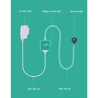 Máy sủi mini Nepall siêu êm cho bể cá - Full đồ