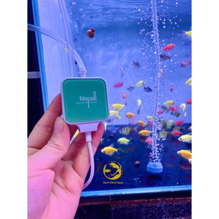 Máy sủi mini Nepall siêu êm cho bể cá - Full đồ