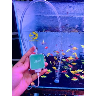 Máy sủi mini Nepall siêu êm cho bể cá - Full đồ