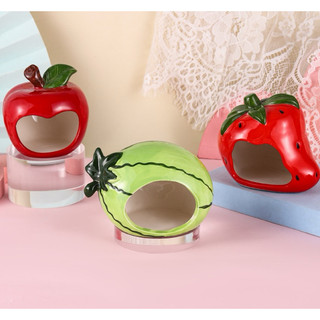 NHÀ SỨ TRÁI CÂY CHO HAMSTER