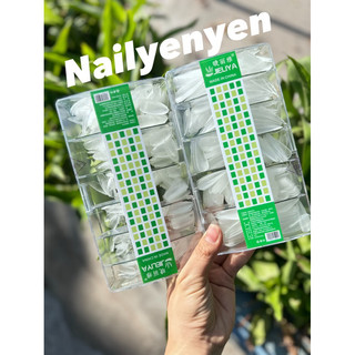 Móng up jieliya nhám sẵn