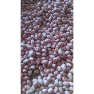 1Kg ĐẬU PHỘNG (LẠC) Giá rẻ