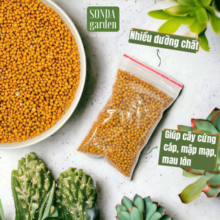 Phân tan chậm SONDA GARDEN (100g) siêu bổ dưỡng dành cho sen đá, cây cảnh - Giúp cây cứng cáp, mập mạp, mau lớn