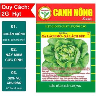 [BÁN SỈ] Gói 2G Hạt Giống Xà Lách Búp Nhiệt Đới (Xà Lách Đăm) Giống Mới Chịu Nhiệt 4 Mùa