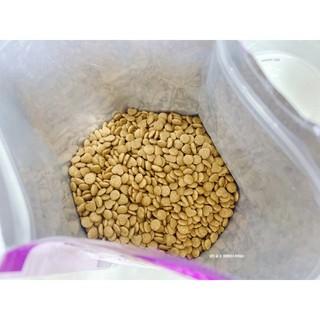 [5KG] Thức ăn mèo Duolight cat tải [5KG]