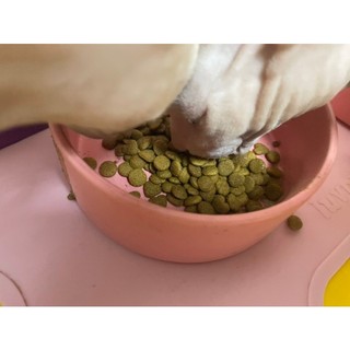 [5KG] Thức ăn mèo Duolight cat tải [5KG]