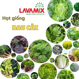 Hạt giống Rau Cải nảy mầm tốt, nhanh thu hoạch, trồng quanh năm hiệu Rạng Đông | Green House