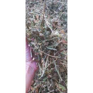 500gr Cây lạc tiên khô - phơi nắng