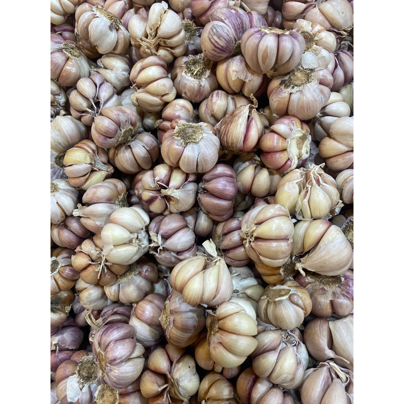 tỏi tím 1kg giá rẻ