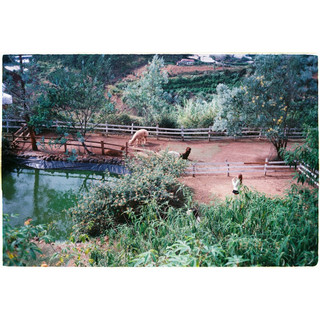 [Hanoi Film] Phim Agfa HDC 100