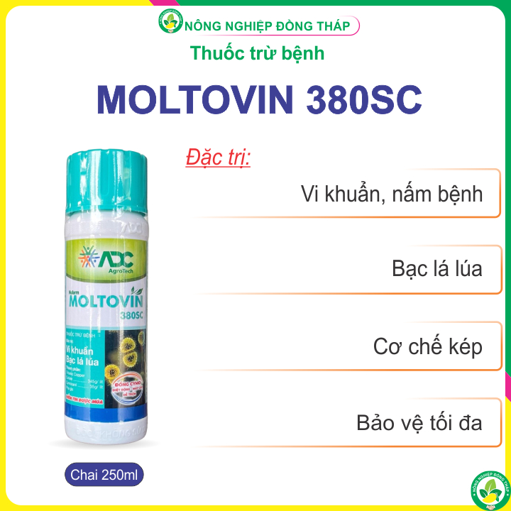 Chế phẩm MOLTOVIN 380SC – Đặc Trị: Vi Khuẩn, Bạc lá lúa (Chai 250ml)