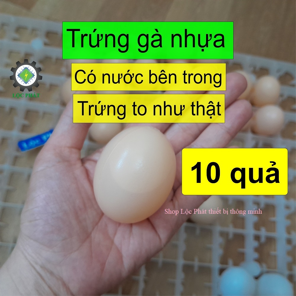 Combo 10 quả trứng gà nhựa to có nước bên trong (cỡ trứng to gần như trứng gà thật) làm mồi cho gà mái đẻ CB10TRGA-TO