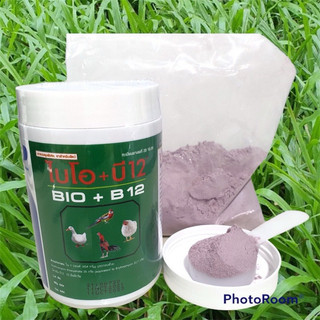 Úm gà Bio B12 giúp gà con khoẻ, đề kháng tốt của Thái Lan