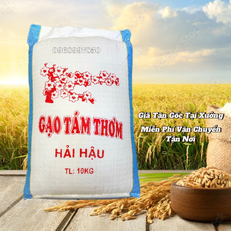 [HOẢ TỐC] GẠO TÁM THƠM HẢI HẬU (Thơm, Dẻo, Đậm Cơm) | BigBuy360 - bigbuy360.vn