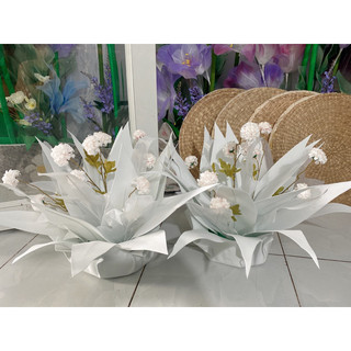 Bụi cỏ dẫn lối ,cỏ cắm chân đế