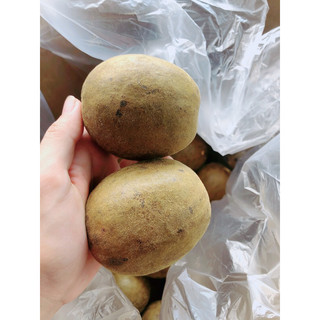 La hán quả trái to hàng đẹp loại 1