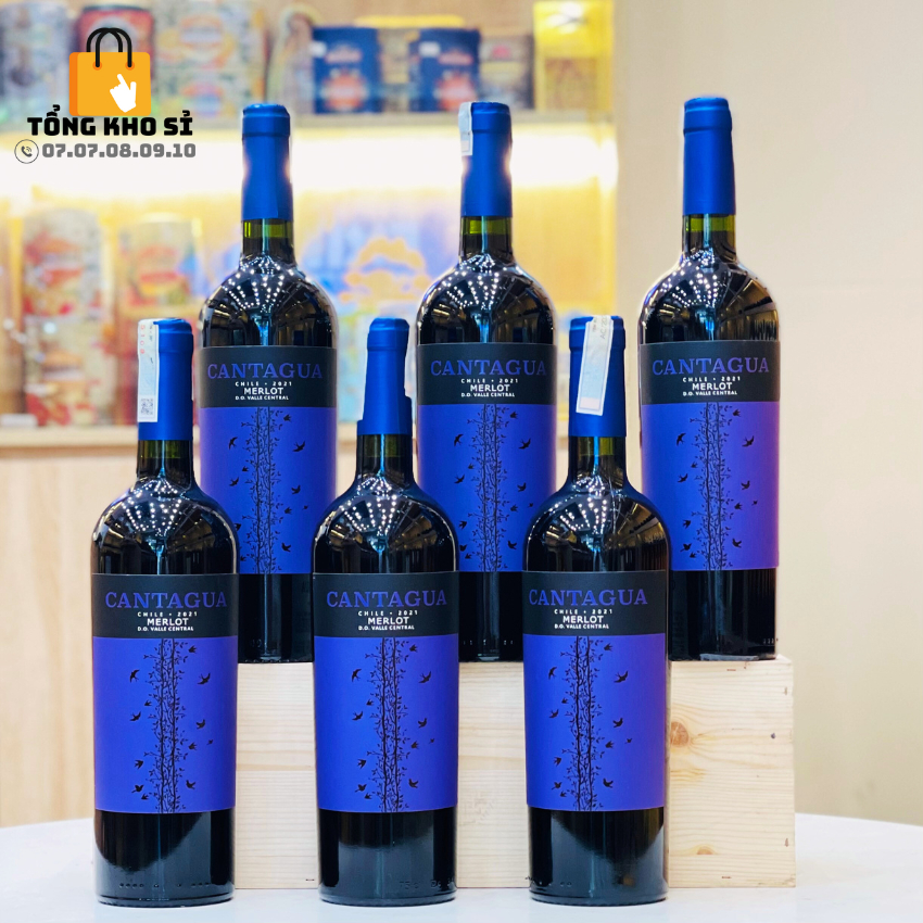Rượu Vang Nhập Khẩu, Rượu Vang Chile Cantagua Merlot Loại Vang Đỏ Uống Siêu Ngon Giá Siêu Tốt