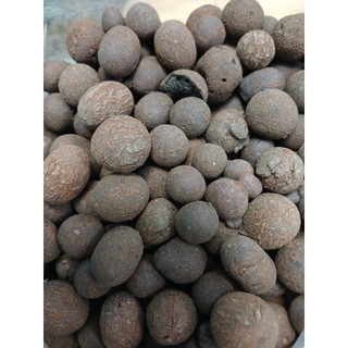 Viên đất nung (sỏi nhẹ) - túi 1kg