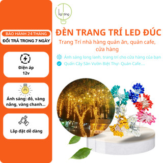 Dây đèn trang trí led đúc f5 combo sẵn nguồn 12v quấn cây sân vườn biệt thự- quán cafe