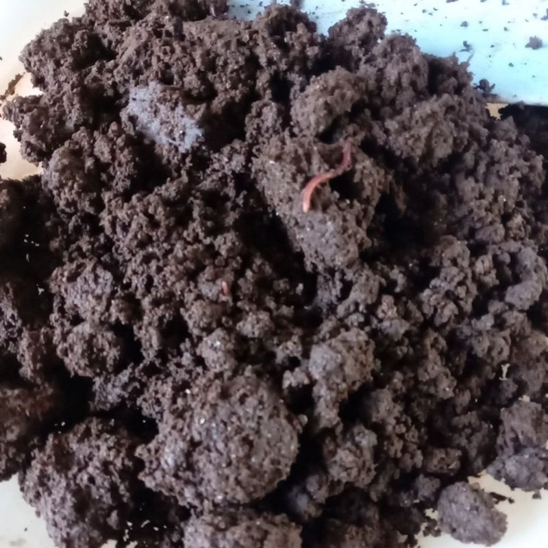 phân trùn quế nguyên chất