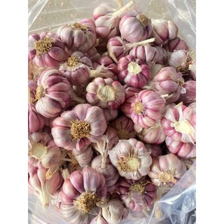 TỎI TÍM ĐÀ LẠT HÀNG LOẠI 1