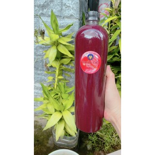Cốt nếp than lên men chai 1L nhà Thuần Việt, thơm, ngọt tự nhiên