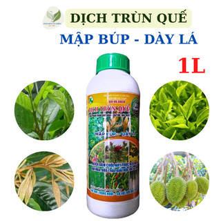 Phân bón vi sinh cố định đam - Dịch Trùn Quế - Mập búp - Dày lá chai 1 lít