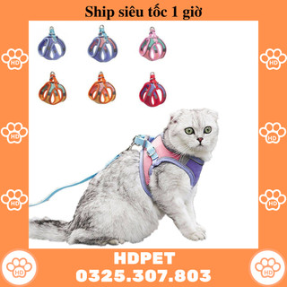 Bộ đai yếm ngực kèm dây dắt thoáng khí cho chó mèo