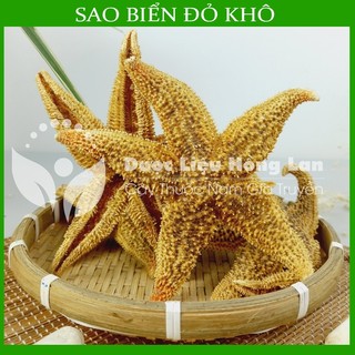 ✅[Thượng hạng] Sao Biển đỏ khô sạch loại 1 size lớn