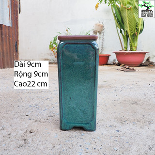 chậu vuông cao mini bonsai