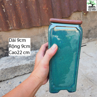 chậu vuông cao mini bonsai