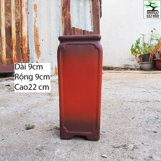 chậu vuông cao mini bonsai