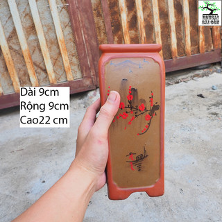 chậu vuông cao mini bonsai