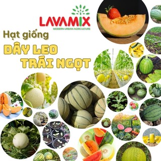Hạt giống Rau Củ Quả - Dây Leo nảy mầm tốt, trồng quanh năm,ít sâu bệnh hiệu Hạt giống Rạng Đông | Green House