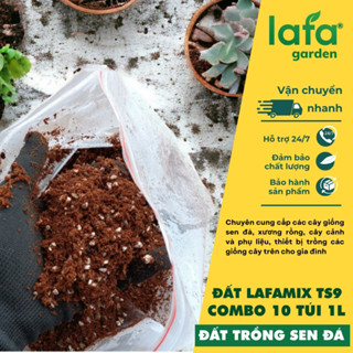 Đất trồng sen đá LAFAMIX-TS9  túi 6L, nguyên liệu nhập khẩu đá perlite, đá pumice trồng cây sen đá