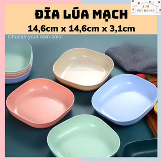 Đĩa lúa mạch hình vuông