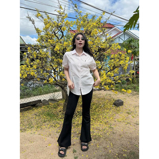 Áo sơ mi thêu thỏ basic bigsize