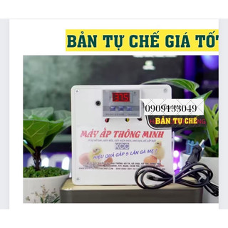 Máy ấp trứng tự chế tỉ lệ nở cao