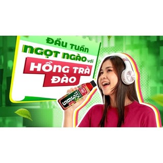lốc 6 chai trà tea 365 chai 500ml