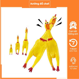 Gà bóp kêu shrilling chicken, gà ngộ nghĩnh