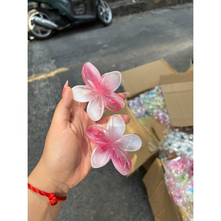 Kẹp tóc hoa sứ ánh trắng hồng siêu lung linh