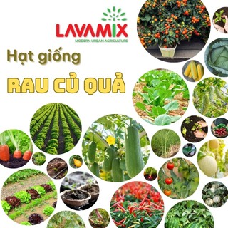 Hạt giống Rau Củ Quả trồng quanh năm, nảy mầm tốt, thu hoạch nhiều lần, dễ chăm sóc, ít sâu bệnh | Green House
