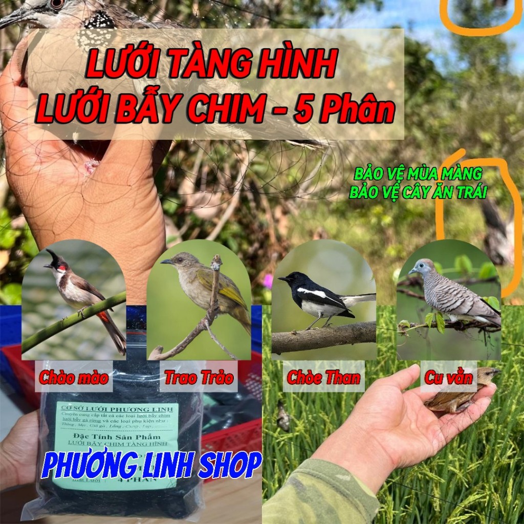 Lưới bẫy chim 5 phân bẫy chào mào , lưới bẫy trao trảo , lưới bẫy chim cu tiểu , lưới cước màu đen t