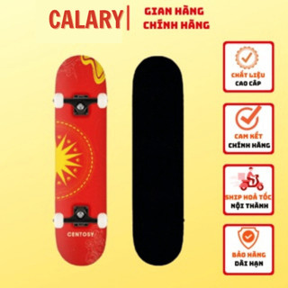Ván Trượt Cougar-Centosy D3 Sunshine Cao Cấp Gỗ Ép 7 Lớp Dành Cho Người Dưới 85Kg