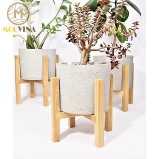 Đôn gỗ đựng chậu và cây - gỗ tự nhiên.