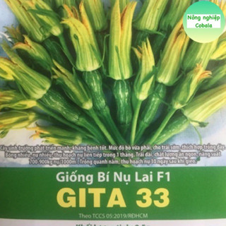 Hạt Giống Bí Nụ Lai F1 (GITA33) Ăn Non Giòn, Ngọt Gói 5 Hạt