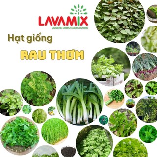 Hạt giống Rau Thơm - Ớt trồng quanh năm, nảy mầm tốt, dễ chăm sóc hiệu Hạt giống Rạng Đông | Green House